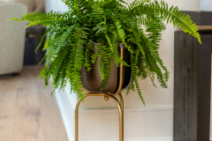 Details-1-Sayle-023-CMG