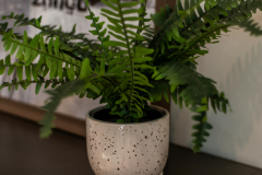 Details-1-Sayle-074-CMG