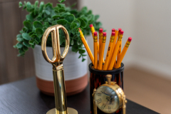 Details-1-Sayle-093-CMG