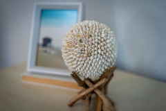 Details-1006-Basin-011-CMG