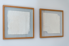 Details-1006-Basin-017-CMG