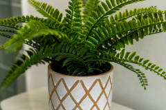 Details-1006-Basin-022-CMG