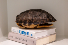 Details-1006-Basin-033-CMG