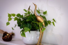 Details-1006-Basin-057-CMG