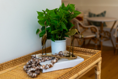 Details-1006-Basin-101-CMG