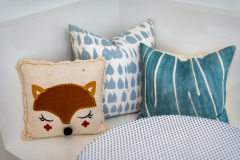 Details-1006-Basin-109-CMG