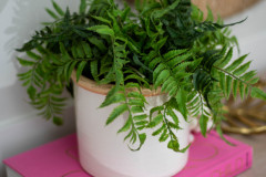 Details-1175-Bright-Ct-2-CMG