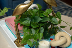 Details-1175-Bright-Ct-21-CMG