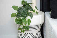 Details-1175-Bright-Ct-41-CMG