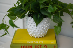 Details-1175-Bright-Ct-45-CMG