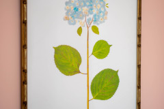 Details-1175-Bright-Ct-55-CMG