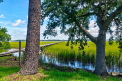1528-Hurtes-Island-041-CMG