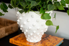 Details-1565-Juniper-005-CMG