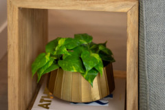 Details-1565-Juniper-034-CMG