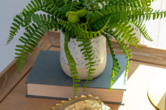 Details-1565-Juniper-037-CMG