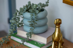 Details-1565-Juniper-042-CMG