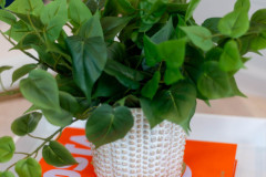 Details-1603-Ventura-022-CMG