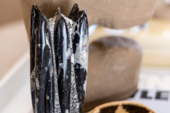 Details-1640-Omni-021-CMG