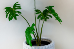 Details-1640-Omni-023-CMG