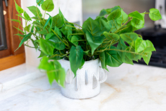 Details-1640-Omni-024-CMG