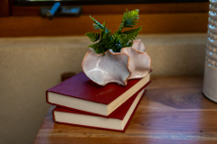 Details-1640-Omni-045-CMG