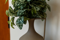 Details-1640-Omni-055-CMG