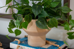 Details-1759-Afton-41-CMG