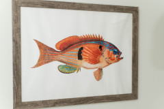 Details-1759-Afton-63-CMG