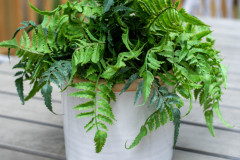 Details-1759-Afton-75-CMG