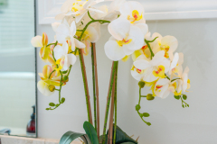 Details-2292-Skyler-057-CMG