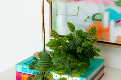 Details-2305-Parsonage-3-CMG