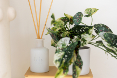 Details-2305-Parsonage-59-CMG