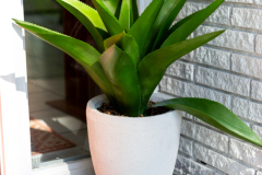 Details-2305-Parsonage-68-CMG