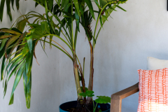 Details-2305-Parsonage-70-CMG