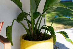 Details-2305-Parsonage-71-CMG