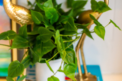 Details-26-Barre-064-CMG