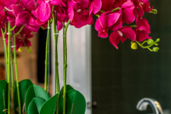 Details-26-Barre-103-CMG