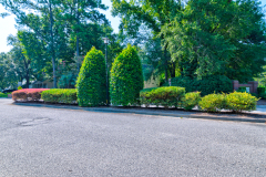 2895-Summertrees-27-CMG