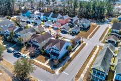 313-Forsythia-Drone-001-CMG