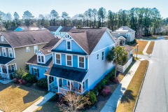 313-Forsythia-Drone-002-CMG