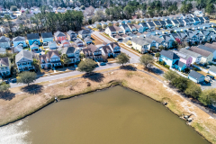 313-Forsythia-Drone-006-CMG