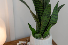 Details-319-Old-South-Way-043-CMG