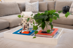 Details-3595-Thunder-Gulch-Trail-1-CMG