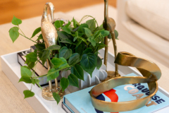 Details-3595-Thunder-Gulch-Trail-56-CMG