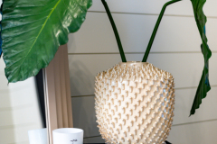 Details-3595-Thunder-Gulch-Trail-63-CMG