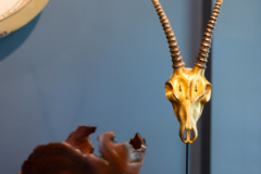 Details-3595-Thunder-Gulch-Trail-71-CMG