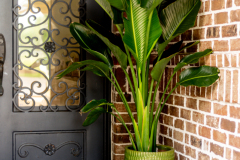 Details-3595-Thunder-Gulch-Trail-85-CMG