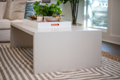 Details-4-Brigadier-030-CMG