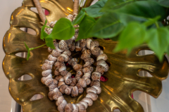 Details-4-Brigadier-036-CMG