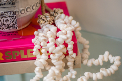 Details-4-Brigadier-046-CMG